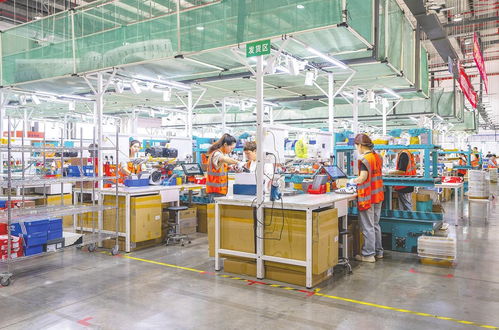 守護國門安全，賦能經濟發展 中國海關監管貨物進出口27億噸、征稅超萬億